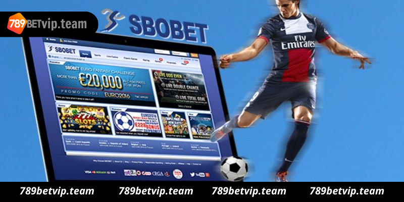 Hướng dẫn chơi cá độ bóng đá tại sbobet 789bet dành cho người mới chơi